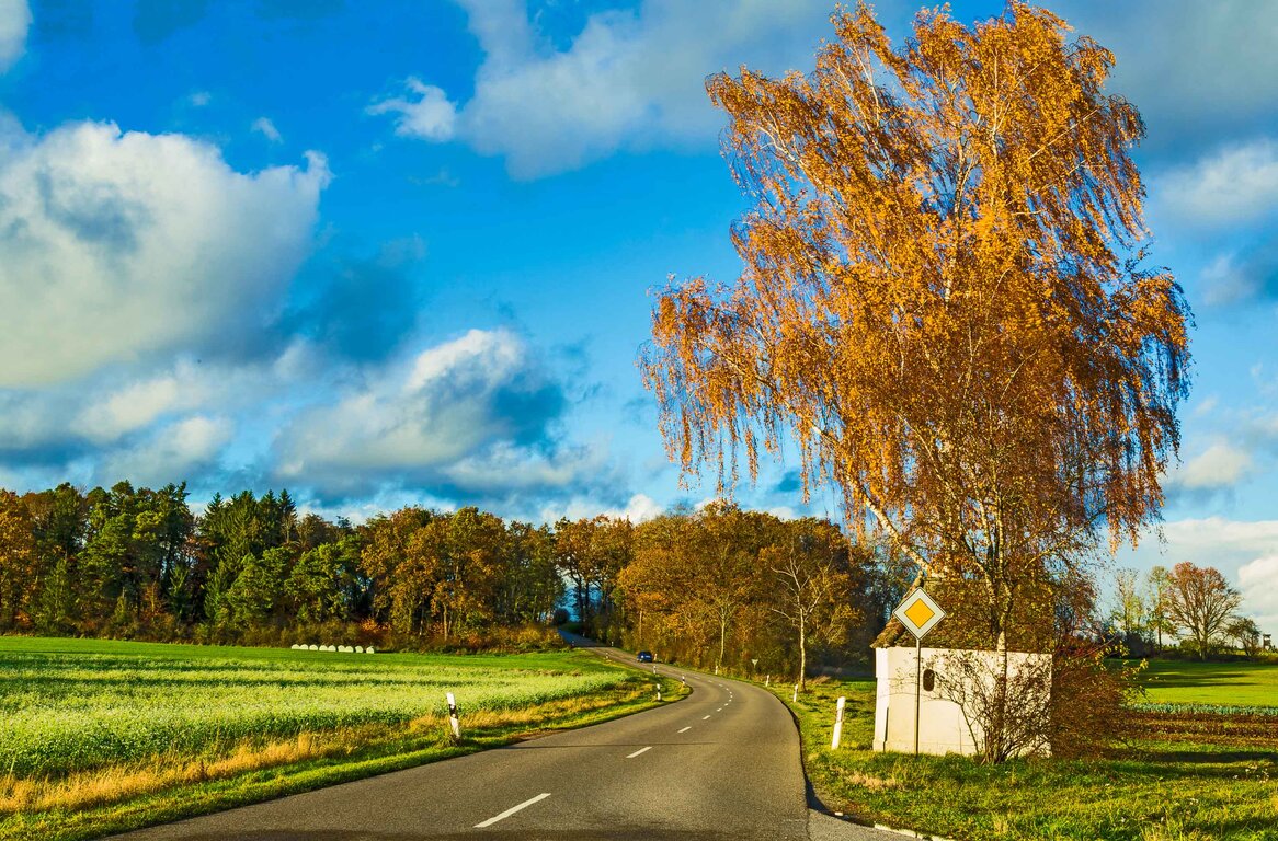 Image: 01_JA_1833 Gadenhof.jpg